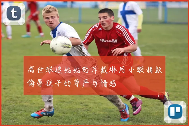离世球迷姑姑怒斥戴琳用小额捐款侮辱孩子的尊严与情感
