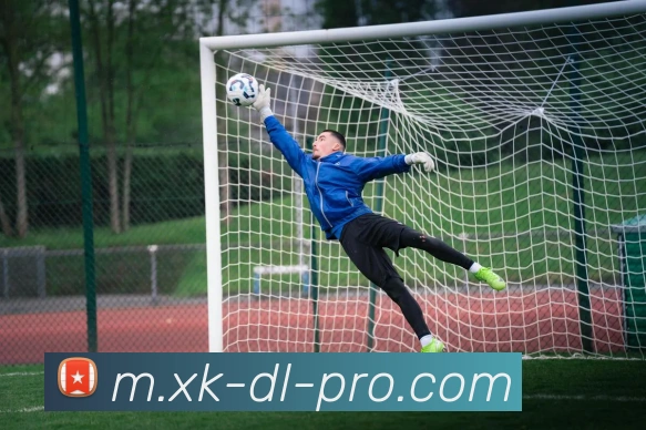 星空体育服务体系